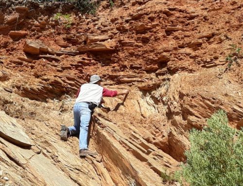 Globiwell Conducts Research Into Groundwater Quality of Hankey and Patensie