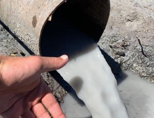 GlobiWell Sited And Drilled High Yielding Boreholes In Port Alfred Area